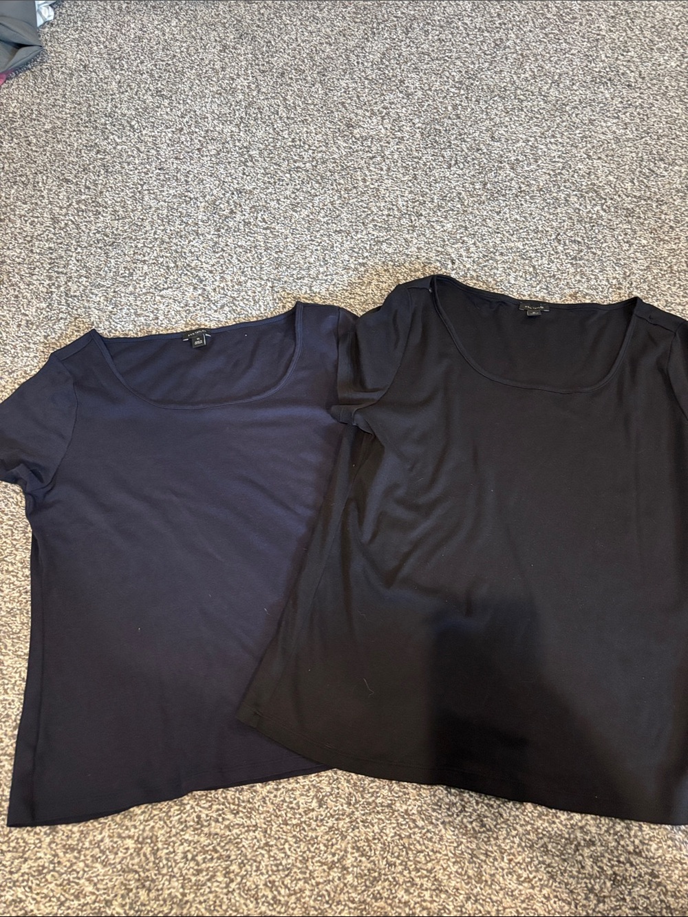 Ann Taylor Classic Scoop Neck Tee - Black and Navy - xlarge